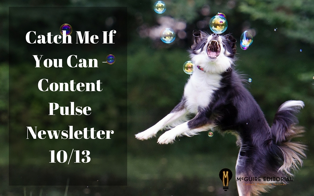 Catch Me If You Can – Content Pulse Newsletter for Oct. 13
